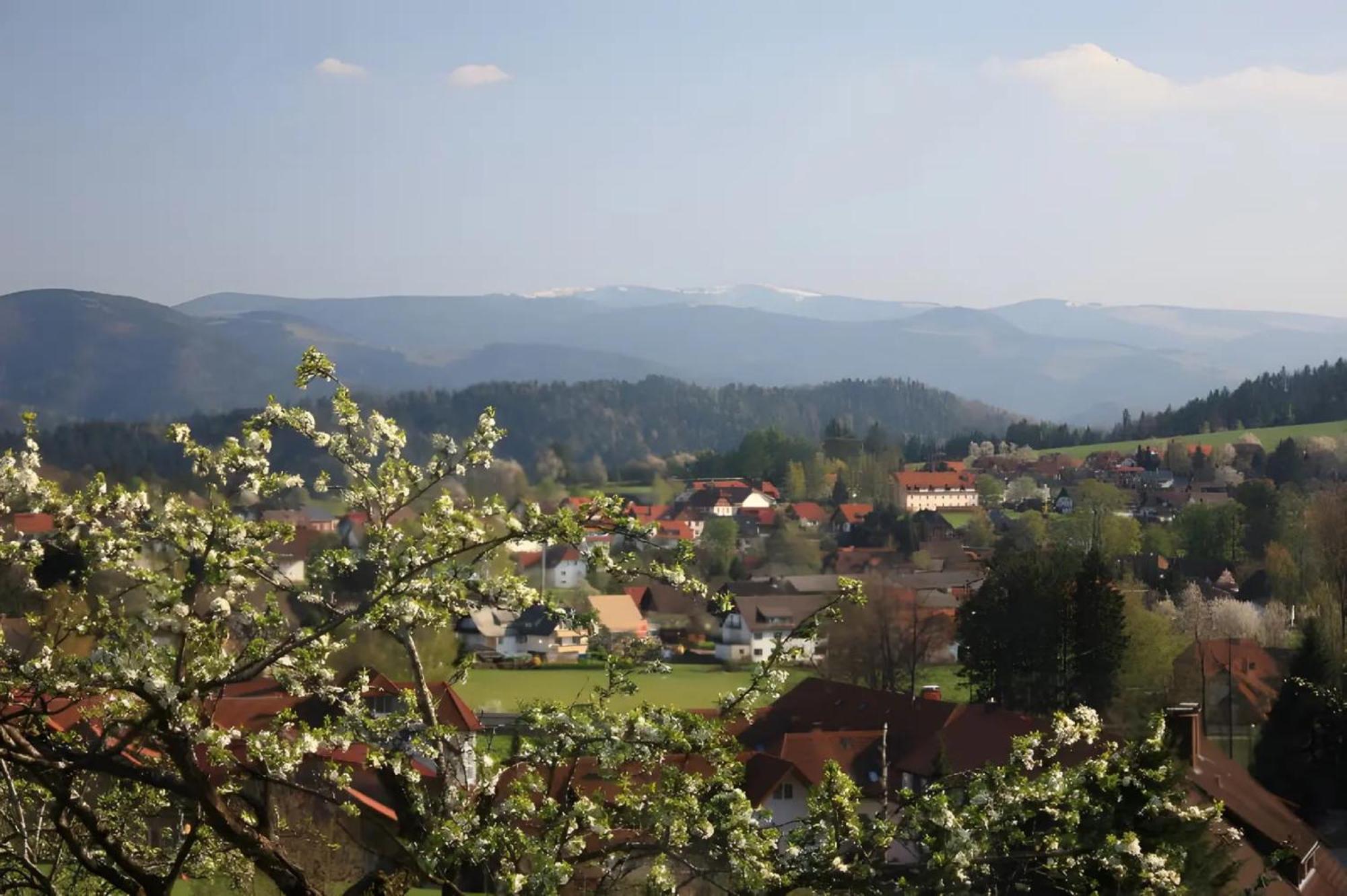 圣彼得Ferien Auf Dem Steingrubenhof公寓 外观 照片